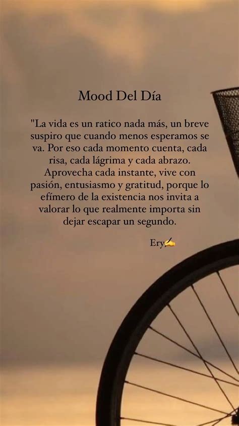 La vida es un instante nada más in 2025 | Inspirational quotes, Cute ...