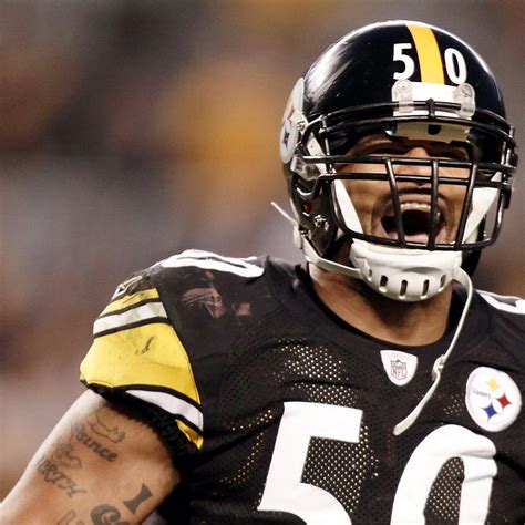 Larry Foote and Cardinals Agree on 1-Year Contract: Latest Details and ...