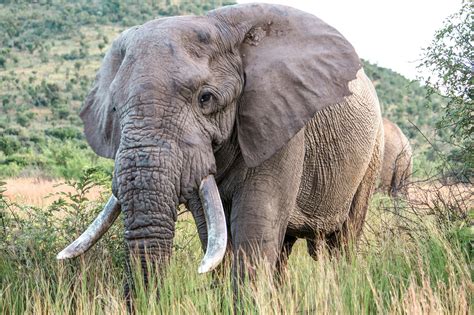 Big+Butt+Blonde Photos, Download The BEST Free Big+Butt+Blonde Stock ...