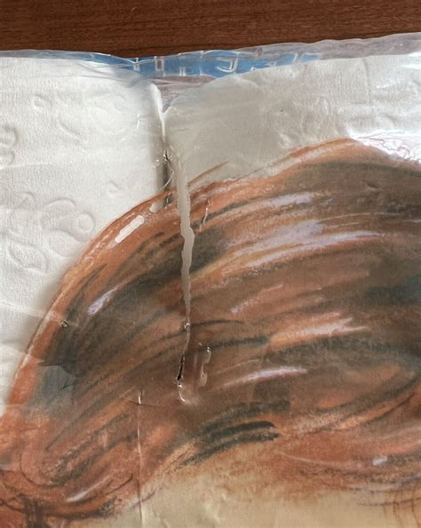 Vintage 1986 Quilted Northern Bathroom Tissue Toilet Paper Girl 4 Rolls ...