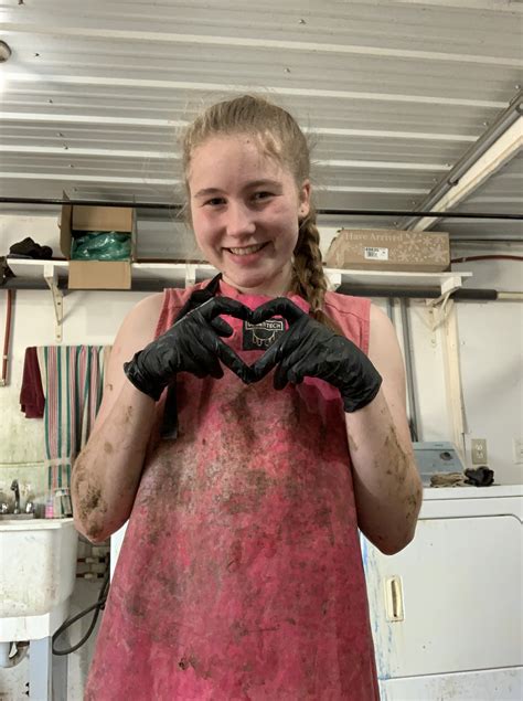 How Do Cows Sleep? – The Life of Owen and Syd