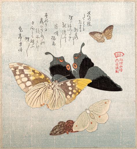 Various moths and butterflies, by Kubo Shunman (Japanese, 1757-1820 ...