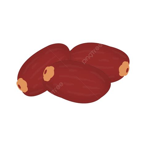 Date Fruit Clipart Transparent Background, Dates Fruit Vector ...