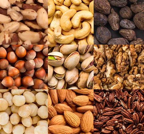 Are Dogs Allergic To Cashews