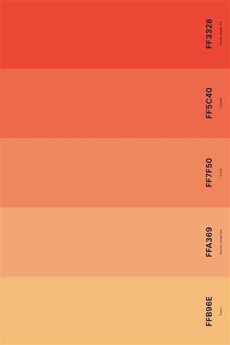 25 best coral color palettes with names and hex codes – Artofit