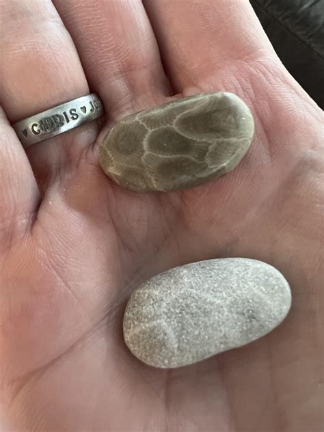 Typical Polished and Unpolished Petoskey Stones : r/rockhounds