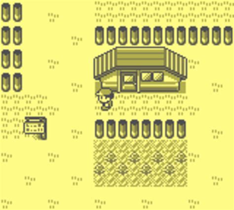 Pokémon Cock Version 018.jpg - Albums des jeux - RomStation