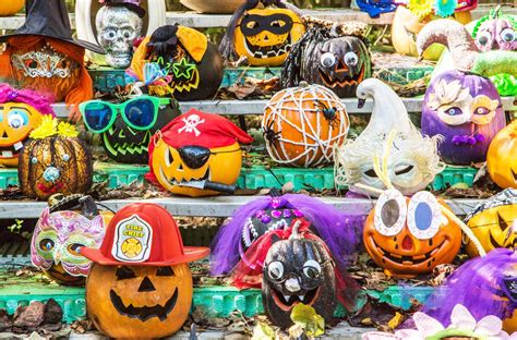 Boone Hall Pumpkin Patch - Pumpkin Patch Near Me