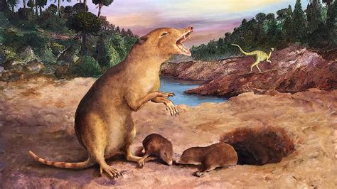 Mammals lived alongside some of the earliest dinosaurs, controversial study claims | Live Science