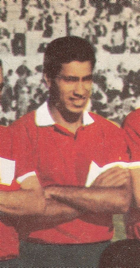 David Acevedo - Alchetron, The Free Social Encyclopedia