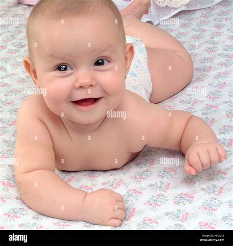Baby chubby cute staring cheeky rosy smile person people kid child baby ...