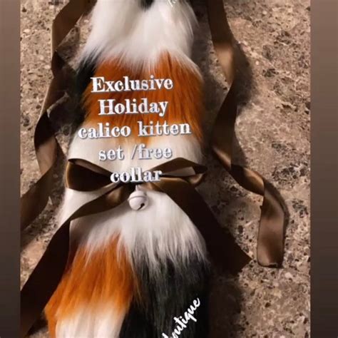 Kitten Exclusive Porn Videos