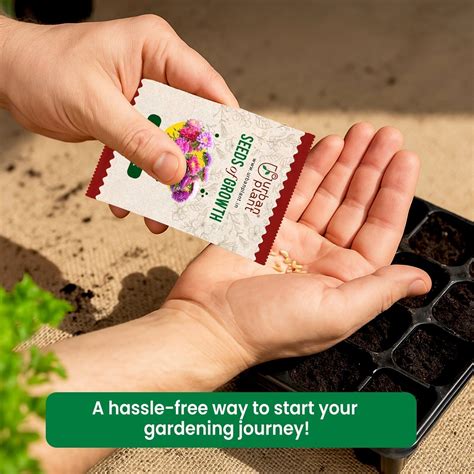 Buy Flower Seeds Online India - Fresh, High-Quality Gardening Seeds ...