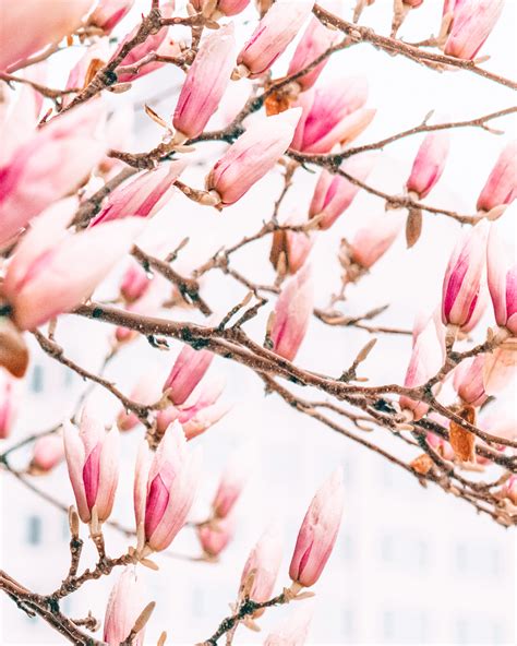 73 Date Ideas in Milwaukee: Romantic Things To Do in Milwaukee