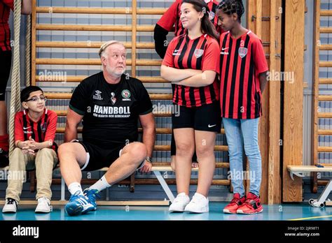 Johan Pehrson, leader of the Liberal Party, playing handball with ...