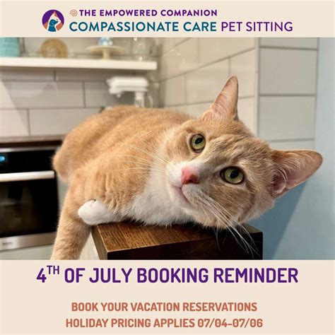 The Empowered Companion | Englewood CO