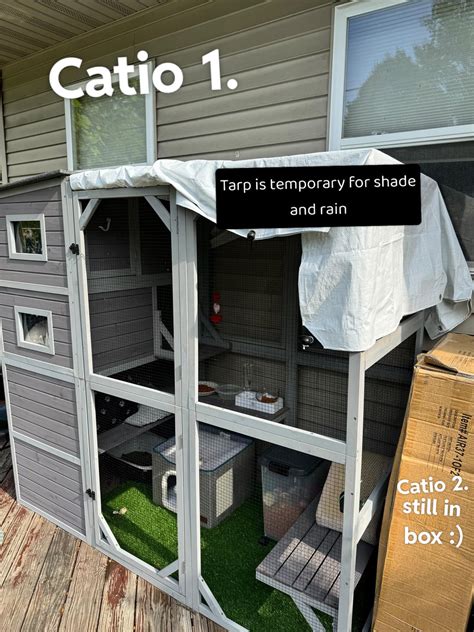 Sleebunn (u/holobunny69) - Reddit