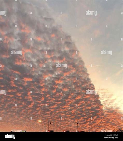 Gainesville florida sunset hi-res stock photography and images - Alamy