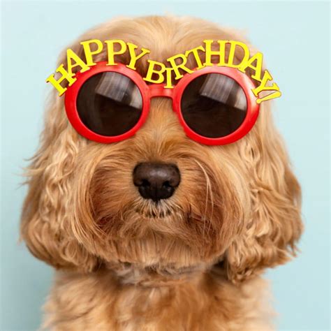 21 Funny Birthday Memes That Will Make You Smile