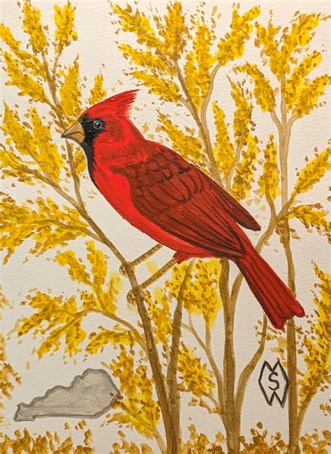 ArtStation - Kentucky state bird and flower, the cardinal and goldenrod