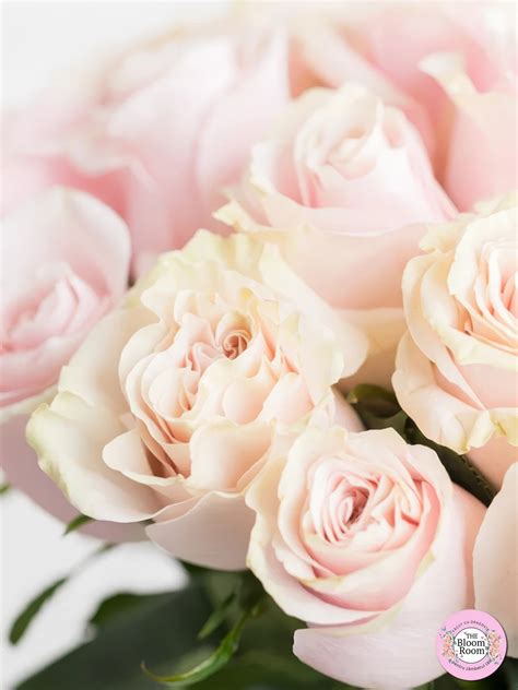 💐 TheBloomRoom.ro: Florărie Online & Livrare Flori în București – The ...