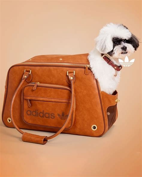 adidas has a pet collection