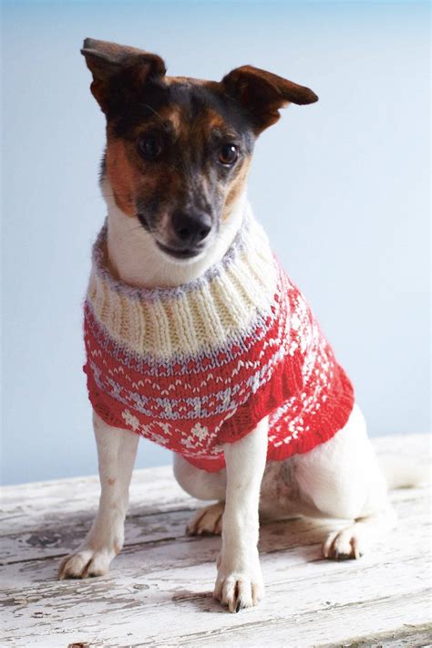 Free Knitting Pattern For Small Dog Coats at Christopher Velez blog
