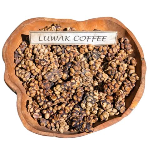 Wild Kopi Luwak Coffee Price Kopi Luwak Green Coffee Indonesia Buy ...