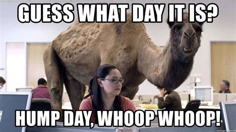 Happy Hump Day 2023 Memes, Images, GIF, Quotes & Pictures