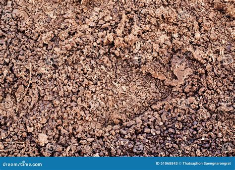 Cow Dung, Cow Manure Lying On The Ground, Fertilizer Animal Dung ...