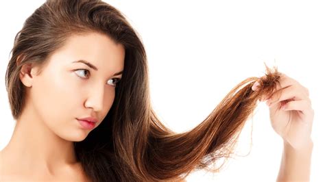 How To Prevent Split Ends And Dry Hair at Darcy Poninski blog