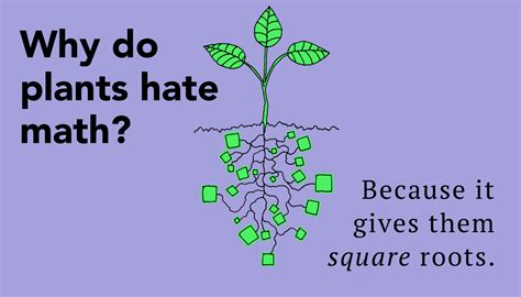 55+ Hilarious Math Jokes To Cause Smiles | Funny math jokes, Math jokes ...