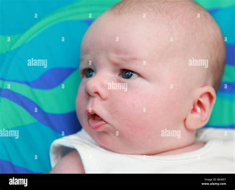 8 week old baby boy Stock Photo - Alamy