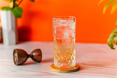 Whiskey Highball Recipe by DrinksWorld