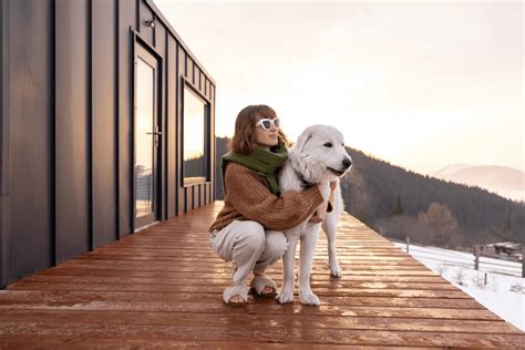 Dog-Friendly Vacation Rentals for a Memorable and Pet-Friendly Getaway