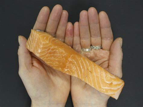 Portion sizes | Nutracheck