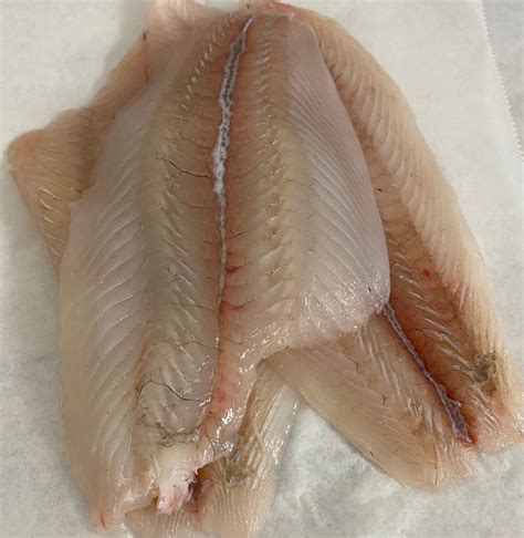 Fluke Fillet - Lusty Lobster