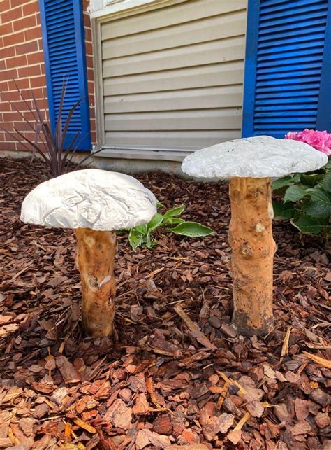Magical Lawn Mushrooms - Essex, MD Patch
