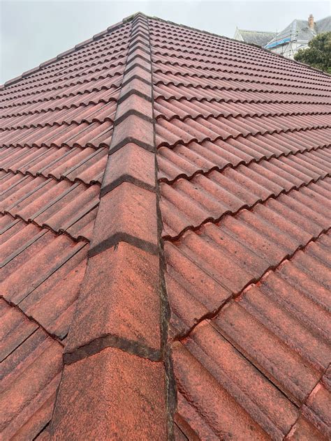 Do You Need To Paint Concrete Roof Tiles at Michiko Durbin blog