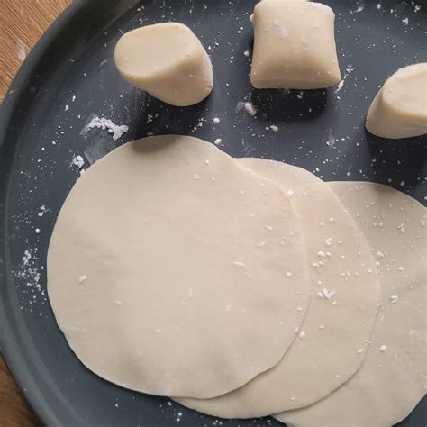 Basic Dumpling Wrappers - Sees Food, Will Travel