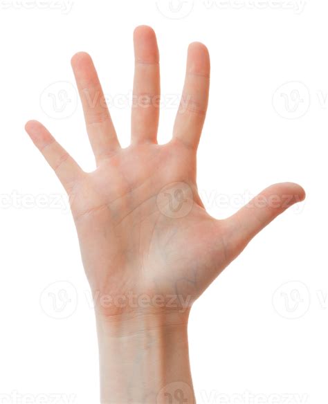Human hand showing five fingers 23265440 PNG