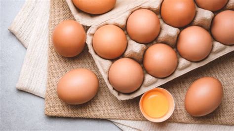 Organic Eggs: Are They Worth the Extra Cost? – Grace Harbor Farm