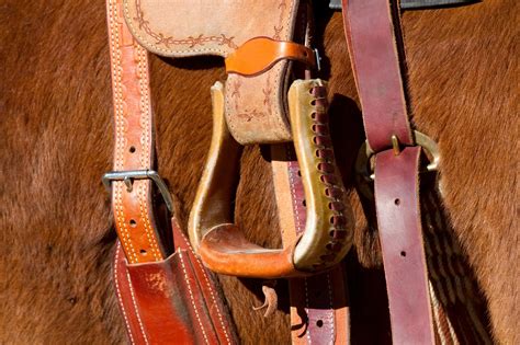 7 Best Stirrups for Trail Riding in All-Day Comfort - Horse Rookie