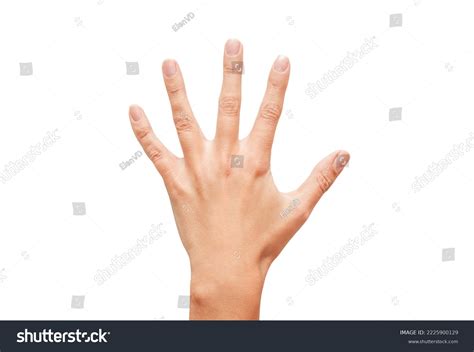 23,757 imágenes de Spread fingers - Imágenes, fotos y vectores de stock ...