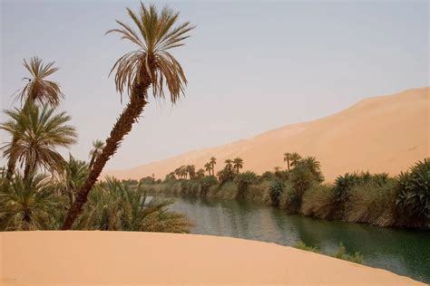 40 Sahara Desert Facts About The Great Desert of Africa - Facts.net