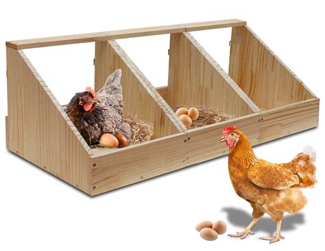 Hens Nesting Box, 3 Packs Single Compartment Solid Wood Chicken Nesting ...