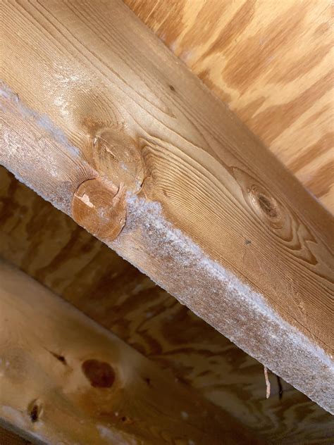 Is this mold on floor joists in the basement? : r/Mold