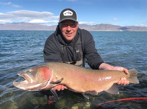 Pyramid Lake Fish Report - Sutcliffe, NV (Washoe County)
