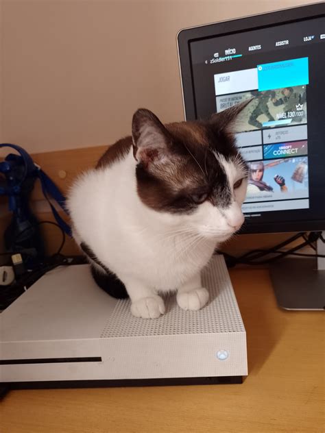 guilhotina🪫 on Twitter: "se esquentando (enquanto o xbox n ecplodir ta ...
