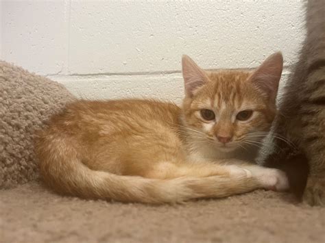 News Releases • City of Pocatello • CivicEngage